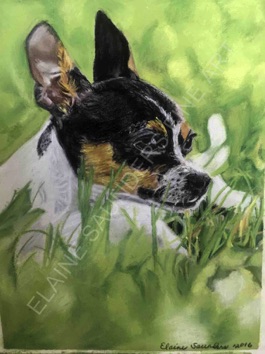 Chihuahua- in -Grass  9x12
Original $250